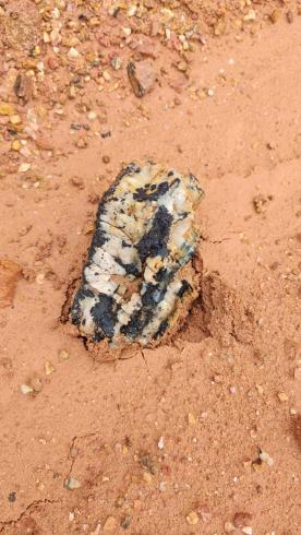 Sampling central zone 3