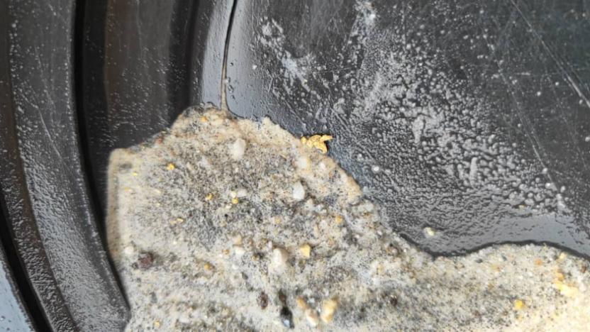 Sampling northern zone 4